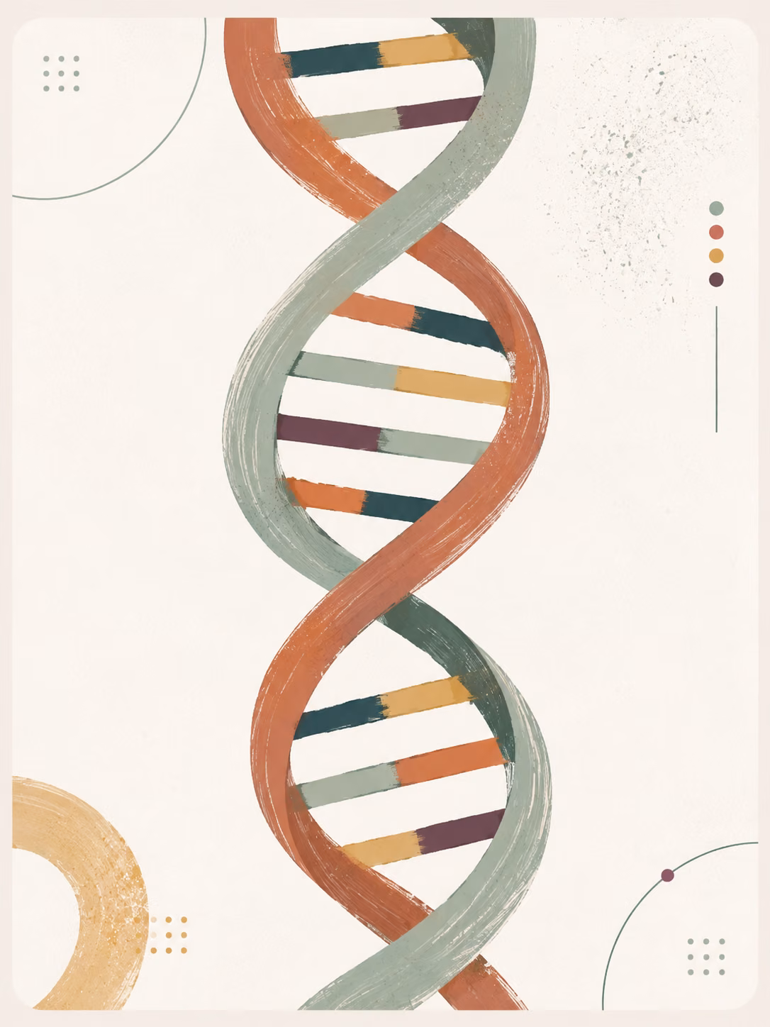 Ilustração de uma dupla hélice de DNA